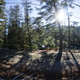 Illustration for article titled CRC 2015 Rally of the Tall Pines Photodump